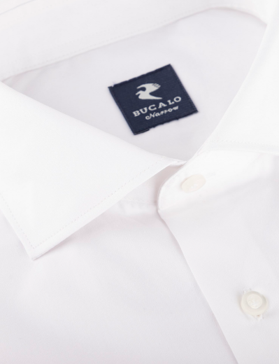Picture of Shirt in pure cotton poplin