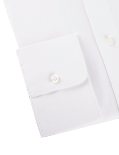 Picture of Shirt in pure cotton poplin